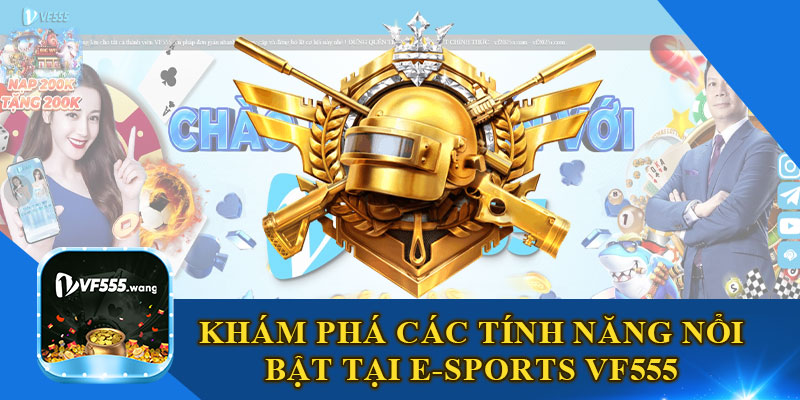 Khám Phá Các Tính Năng Nổi Bật Tại E-Sports VF555