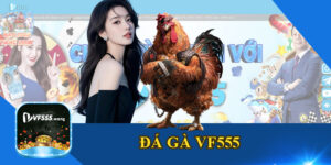 Đá Gà VF555