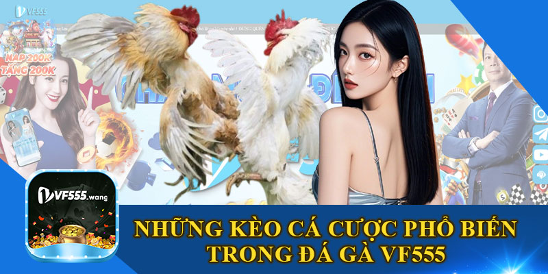 Những Kèo Cá Cược Phổ Biến Trong Đá Gà VF555